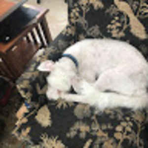 Meet your Posher, Maddie